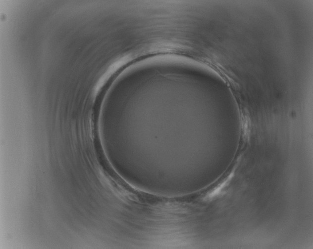 X0000075900244200609221944