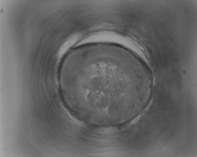 X0000075900245200609221944