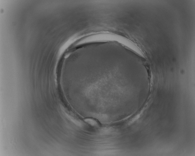 X0000075900246200609221944