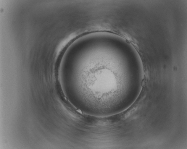 X0000075900248200609221944