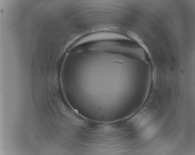 X0000075900249200609221944