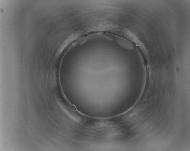 X0000075900250200609221944