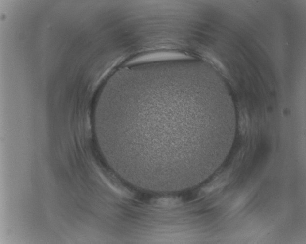 X0000075900251200609221944