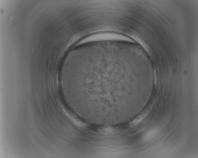 X0000075900253200609221944