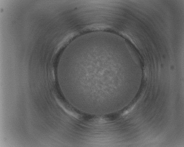 X0000075900254200609221944