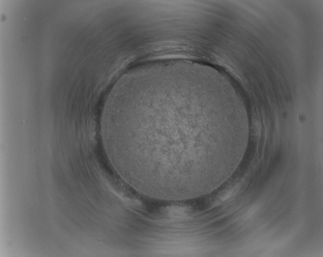 X0000075900255200609221944