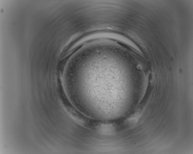 X0000075900256200609221944