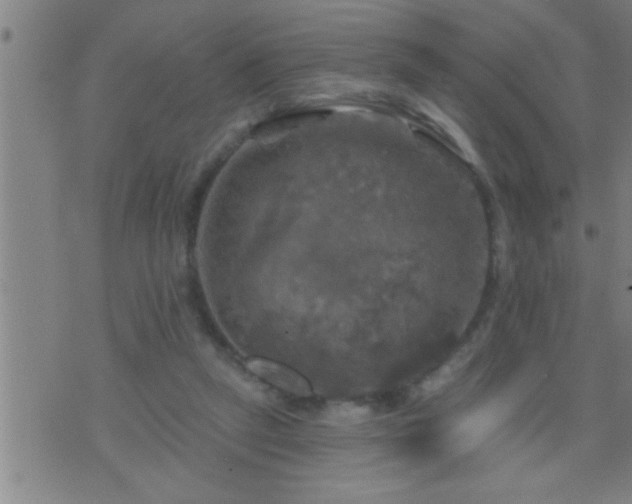 X0000075900257200609221944