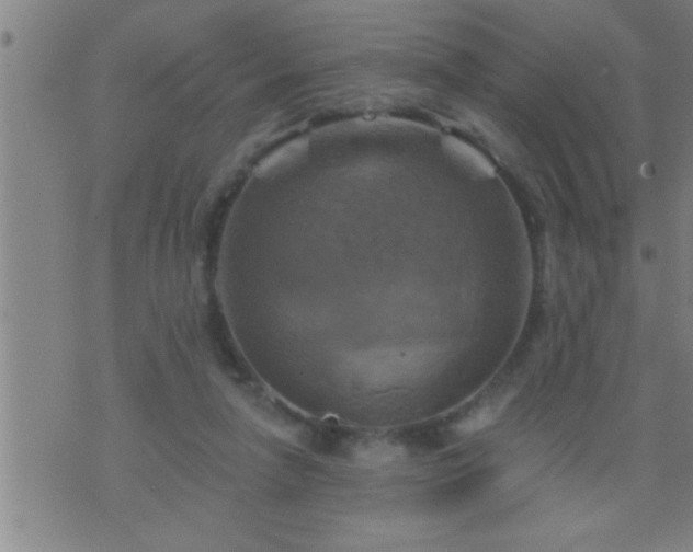 X0000075900258200609221944