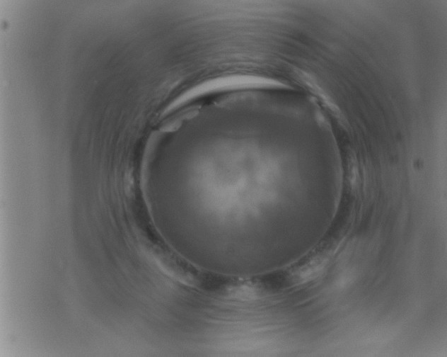 X0000075900259200609221944