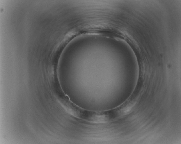 X0000075900260200609221944