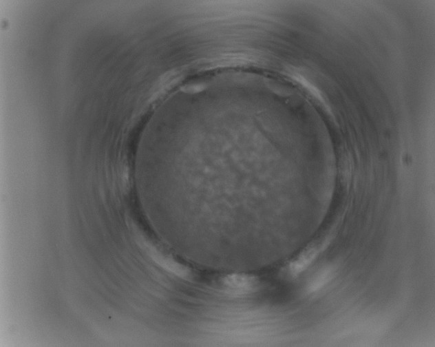 X0000075900261200609221944