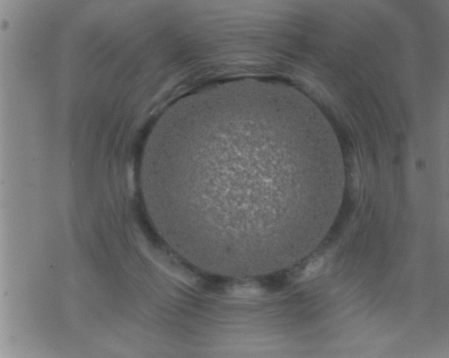 X0000075900262200609221944