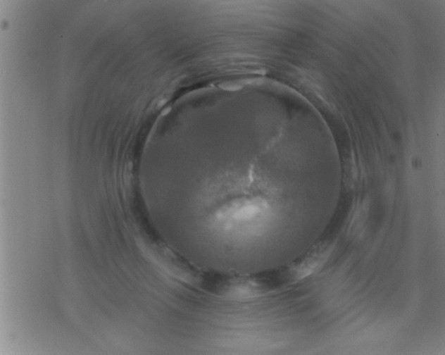 X0000075900263200609221944