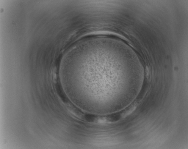 X0000075900264200609221944