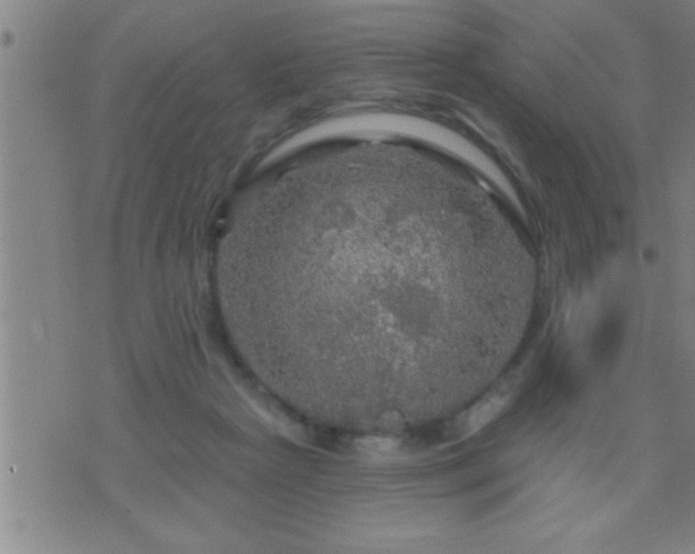 X0000075900265200609221944