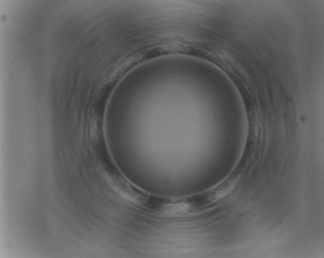 X0000075900266200609221944