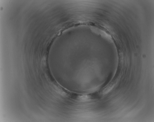 X0000075900269200609221944