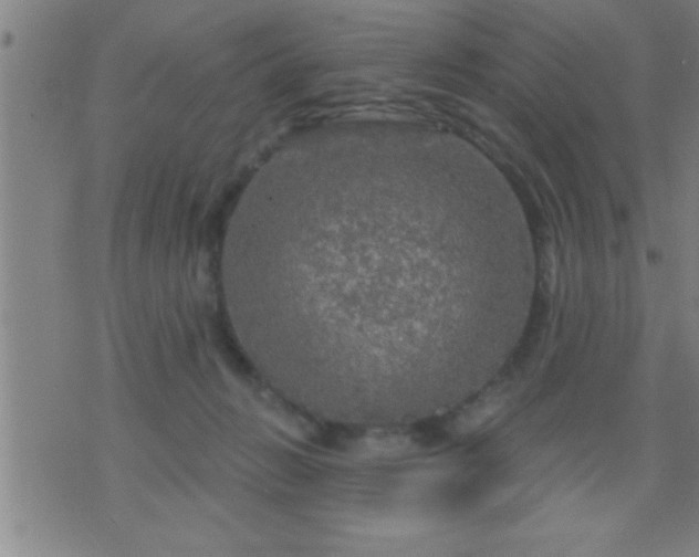 X0000075900270200609221944