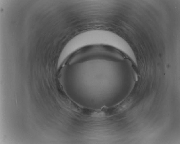 X0000075900271200609221944