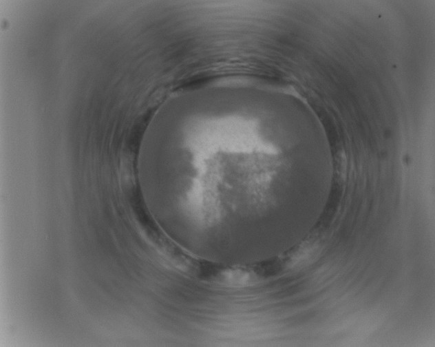 X0000075900272200609221944