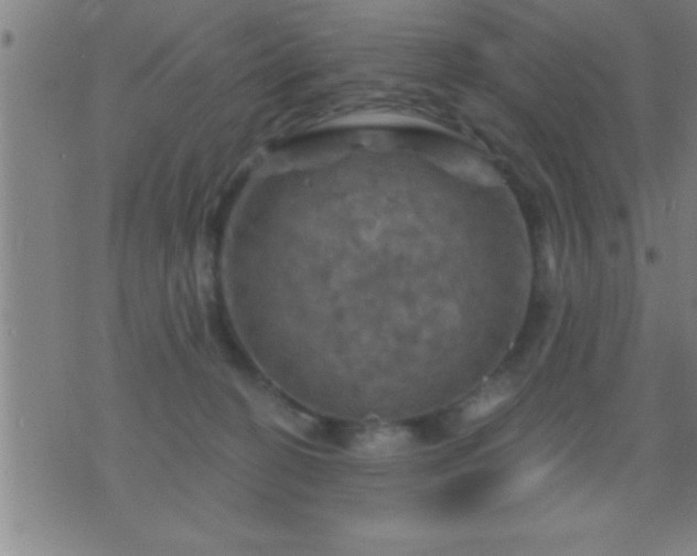 X0000075900274200609221944