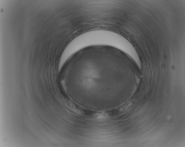 X0000075900275200609221944