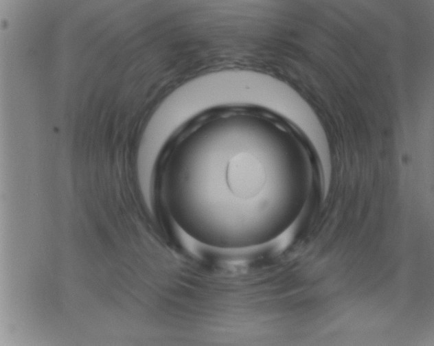 X0000075900276200609221944