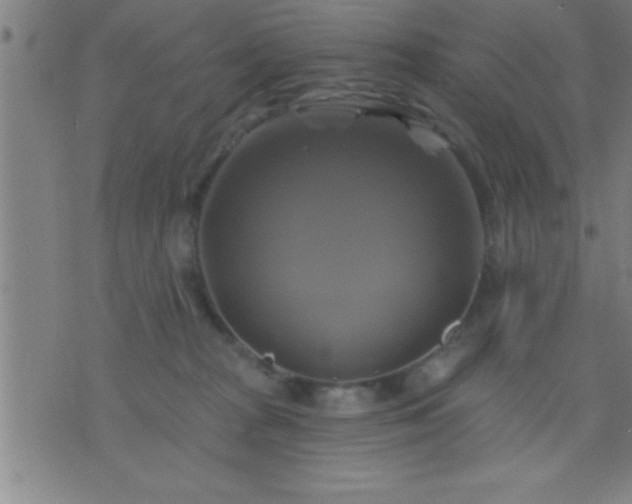 X0000075900277200609221944