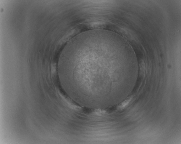 X0000075900278200609221944