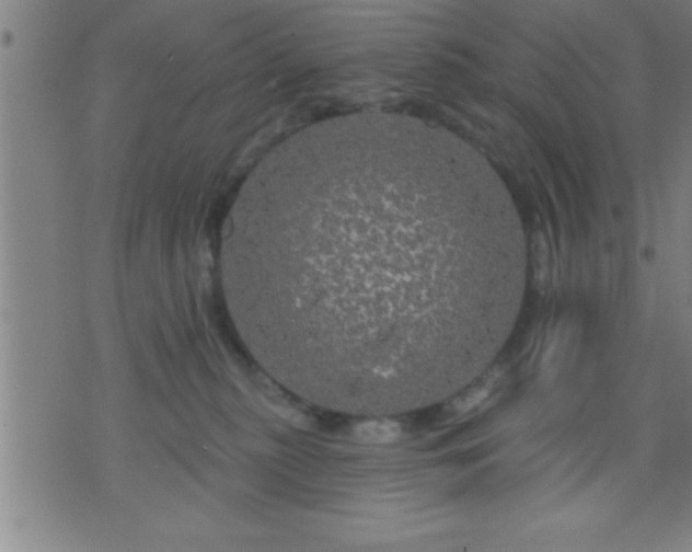 X0000075900279200609221944