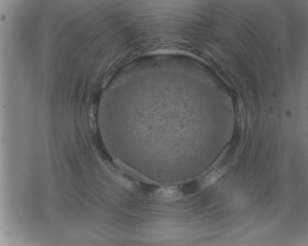 X0000075900280200609221944