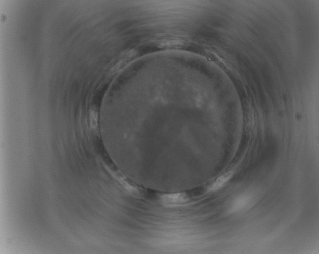 X0000075900281200609221944