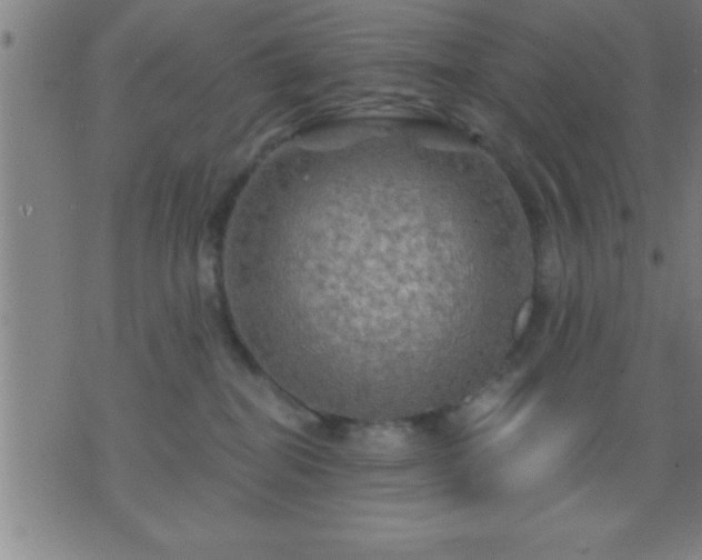 X0000075900282200609221944