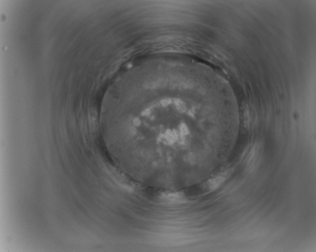 X0000075900283200609221944