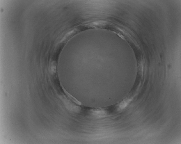 X0000075900284200609221944