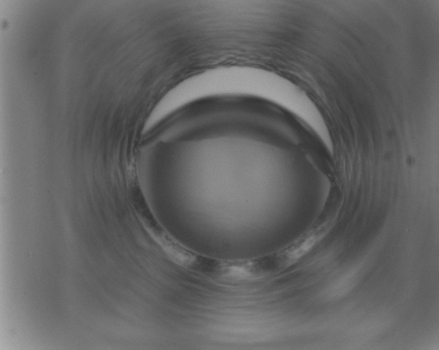 X0000075900285200609221944