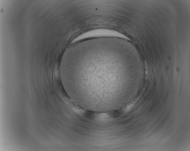 X0000075900287200609221944