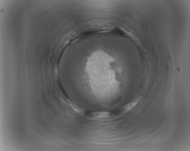 X0000075900288200609221944