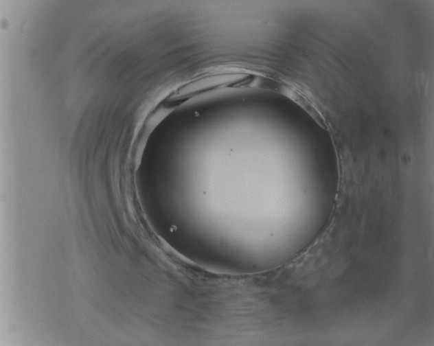 X0000075900289200609221943