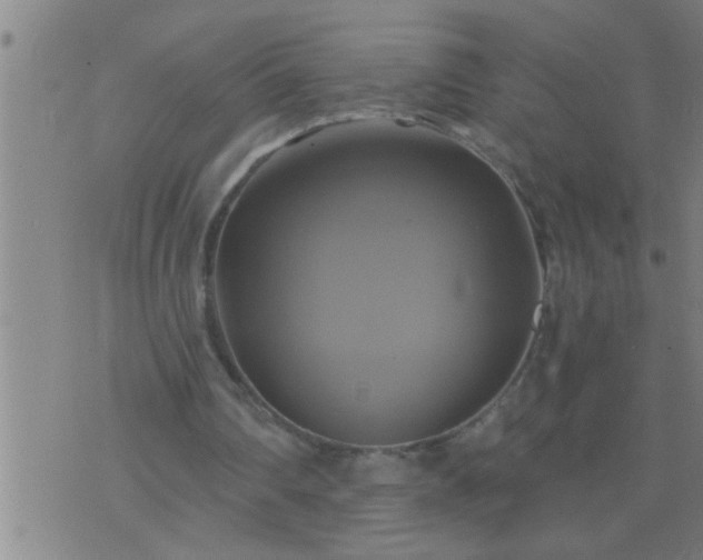 X0000075900290200609221943