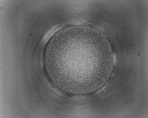 X0000075900291200609221943