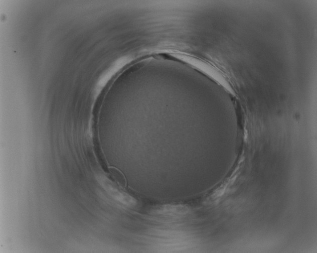 X0000075900292200609221943