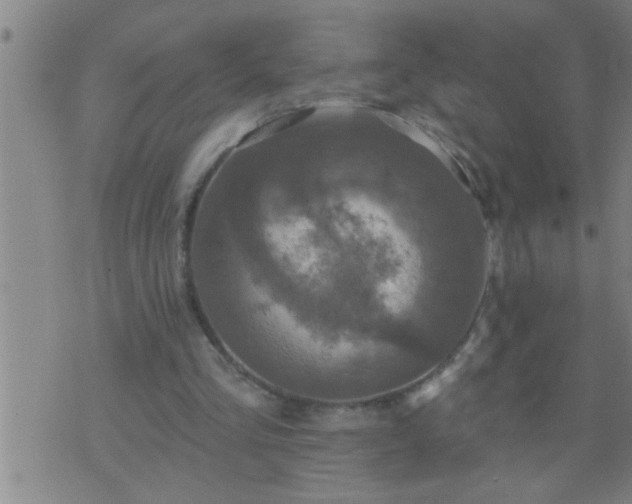 X0000075900293200609221943