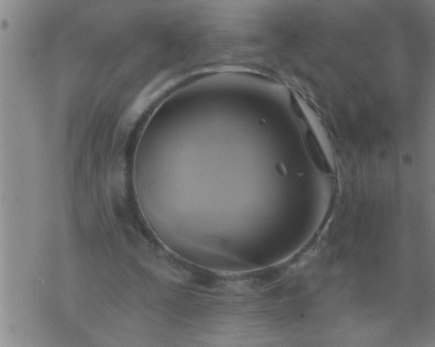 X0000075900295200609221943