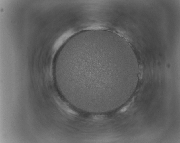 X0000075900296200609221943