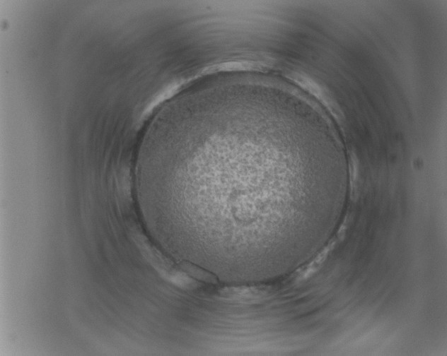 X0000075900297200609221943