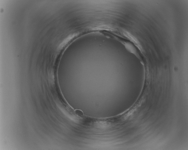 X0000075900298200609221943