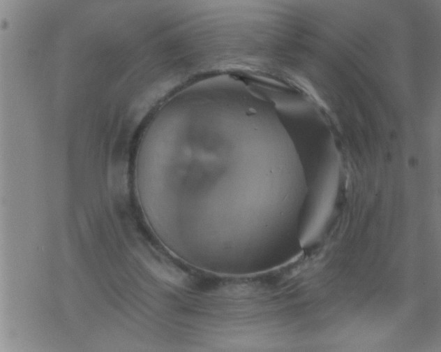 X0000075900299200609221943