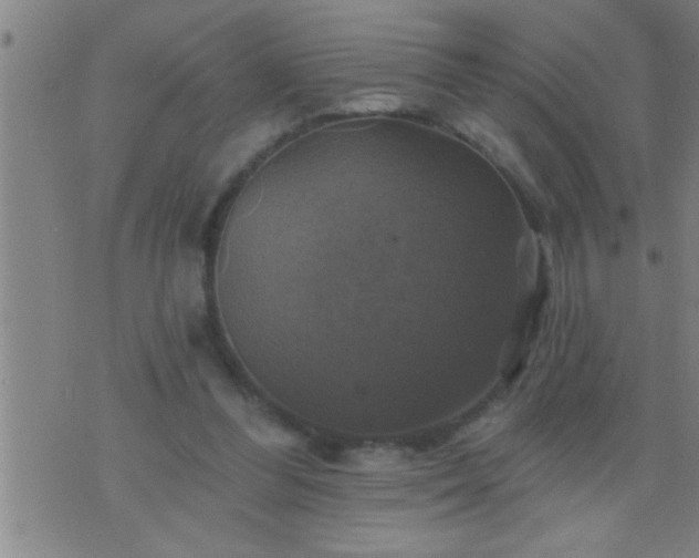 X0000075900300200609221943